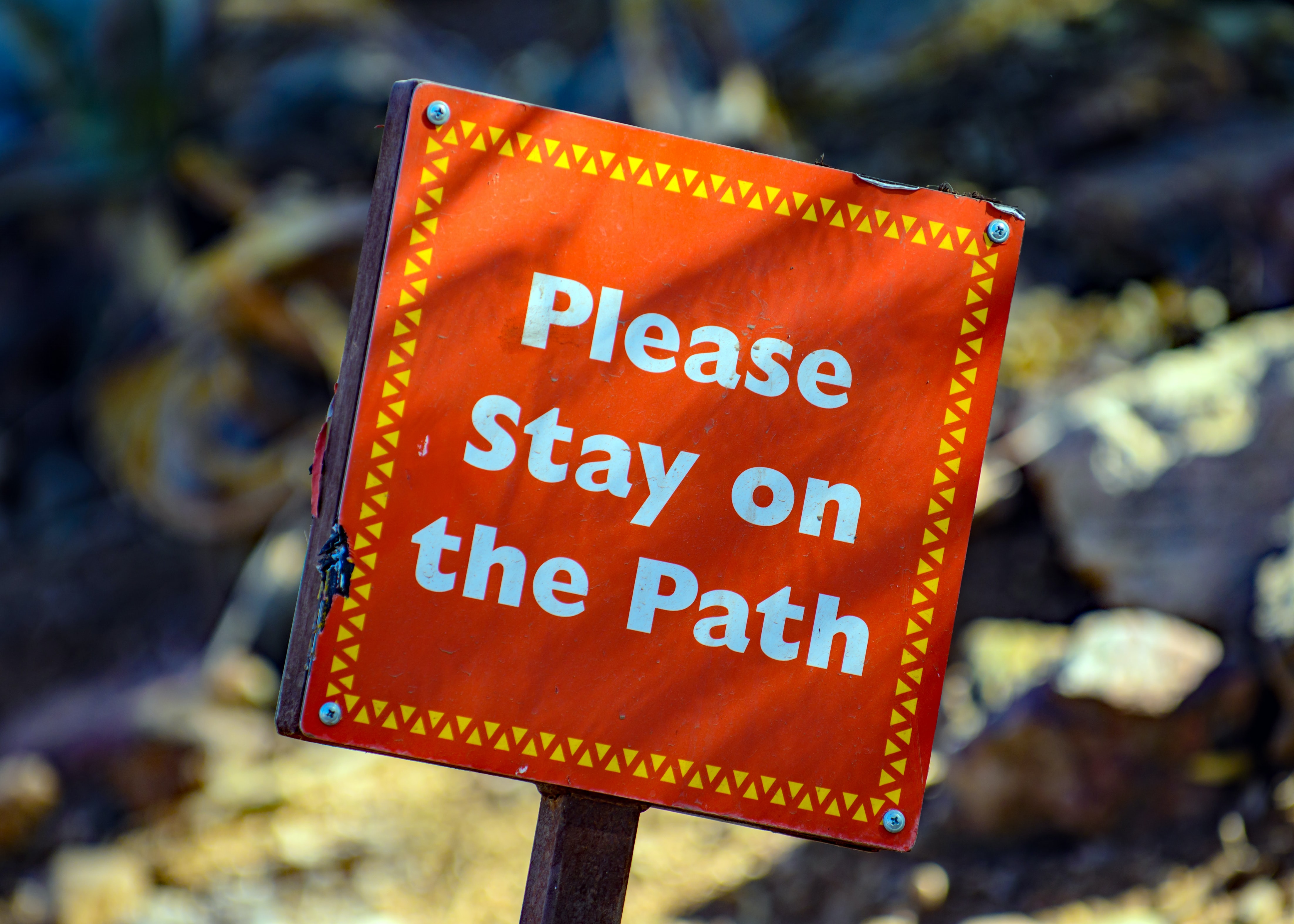 Is your business hitting a roadblock because of growing pains?